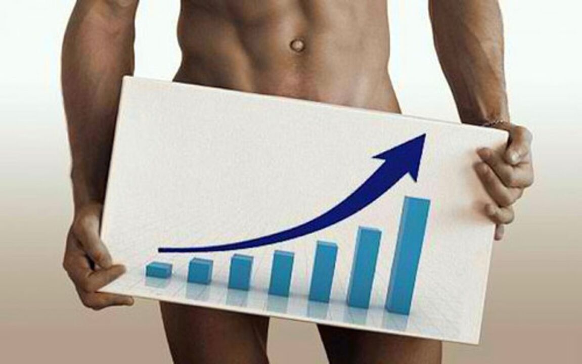 graf růstu penisu během cvičení