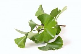 ginkgo biloba pro zvětšení penisu